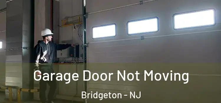  Garage Door Not Moving Bridgeton - NJ