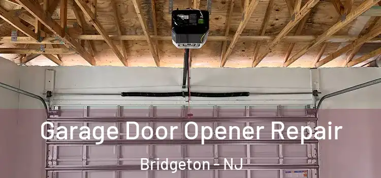  Garage Door Opener Repair Bridgeton - NJ