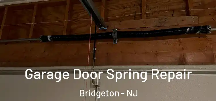  Garage Door Spring Repair Bridgeton - NJ