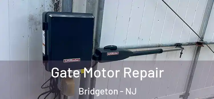  Gate Motor Repair Bridgeton - NJ