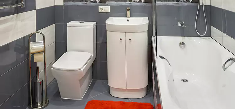 Hansgrohe Shaving Mirror Bridgeton
